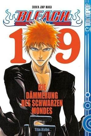 Bleach 19